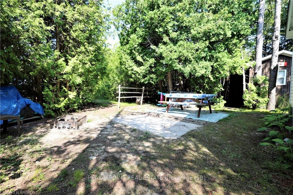 11 Alvin Street Property Photo 14