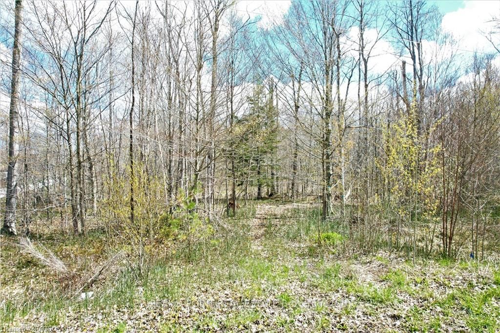 59 Birch Street Property Photo 1