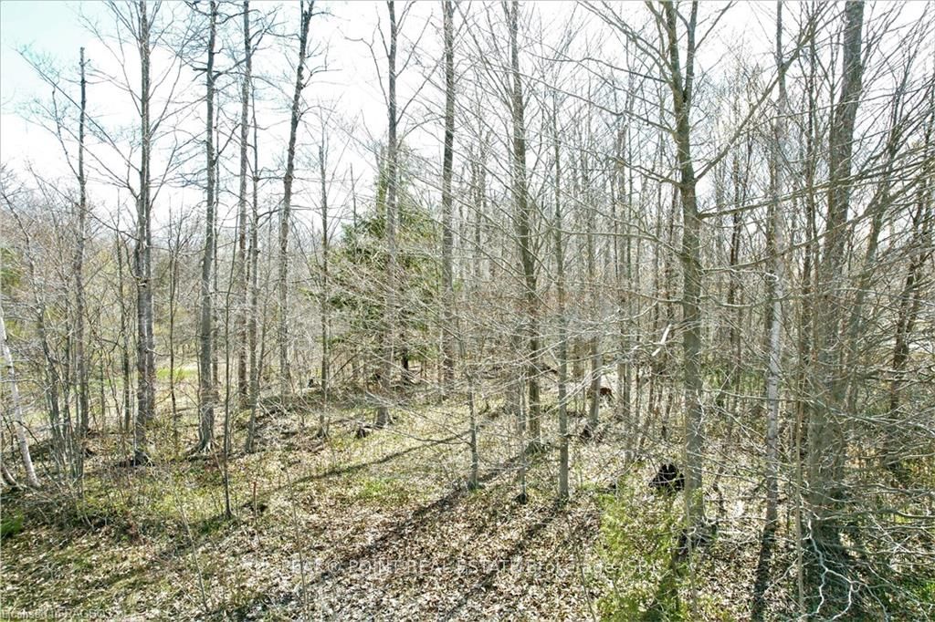 59 Birch Street Property Photo 6