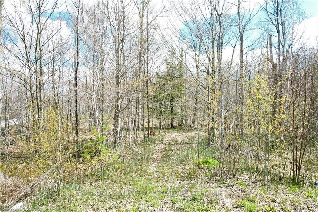 59 Birch Street Property Photo 10