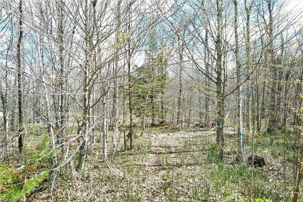 59 Birch Street Property Photo 11