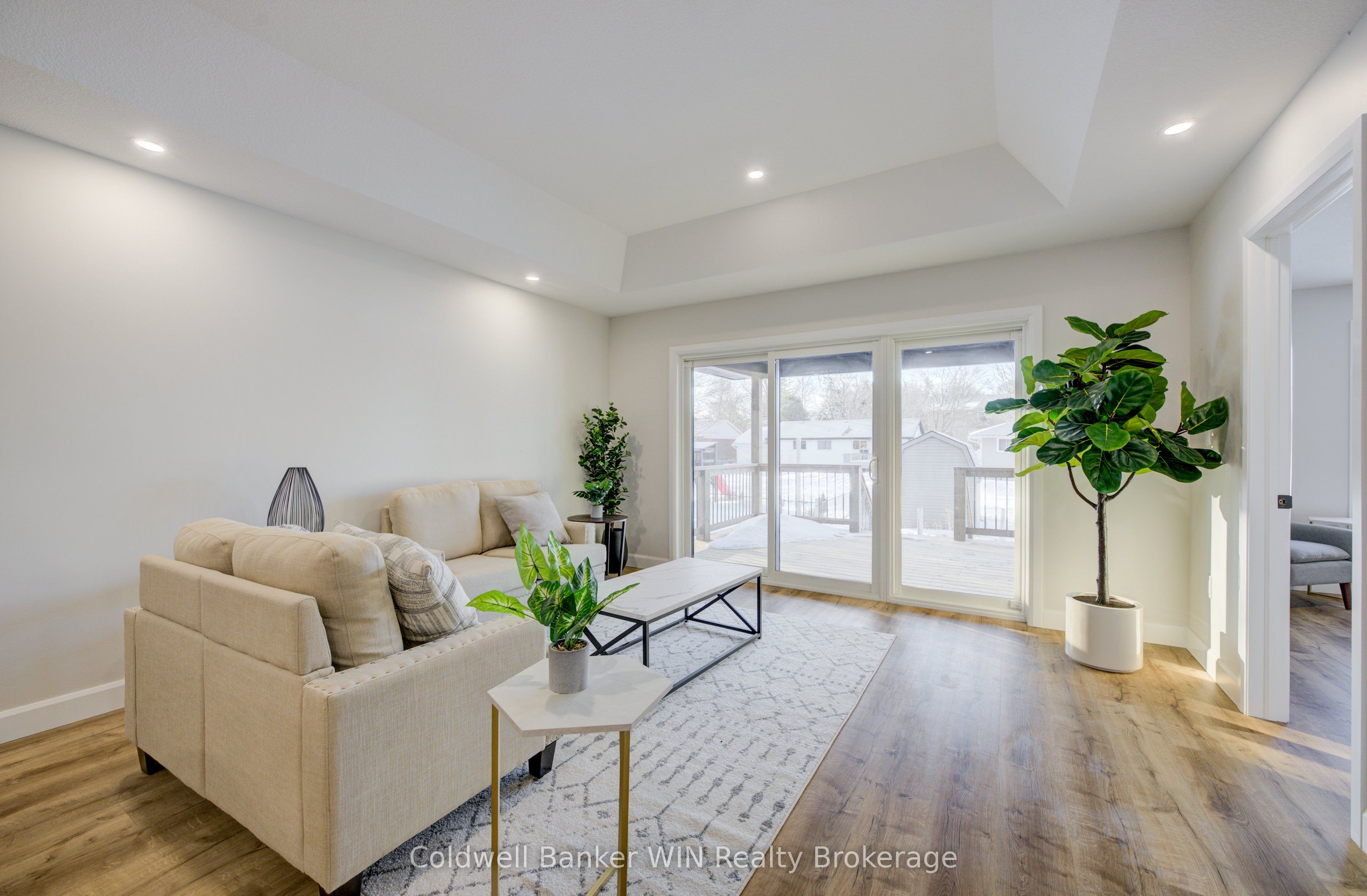 217 Elgin Street Property Photo 12