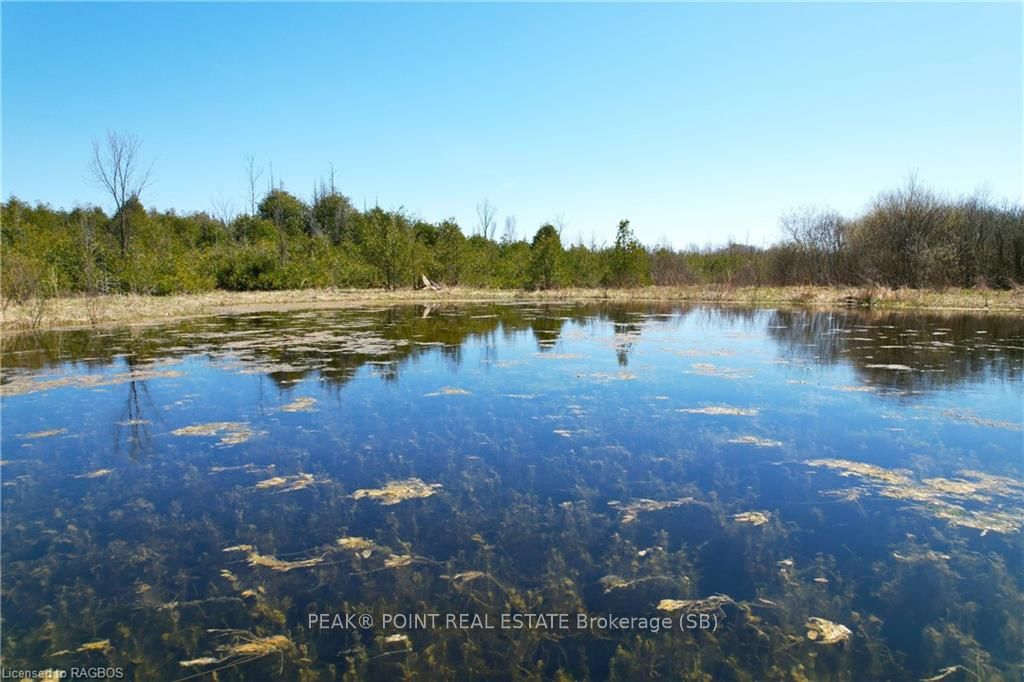 341029 Concession 14 N/a Property Photo 15