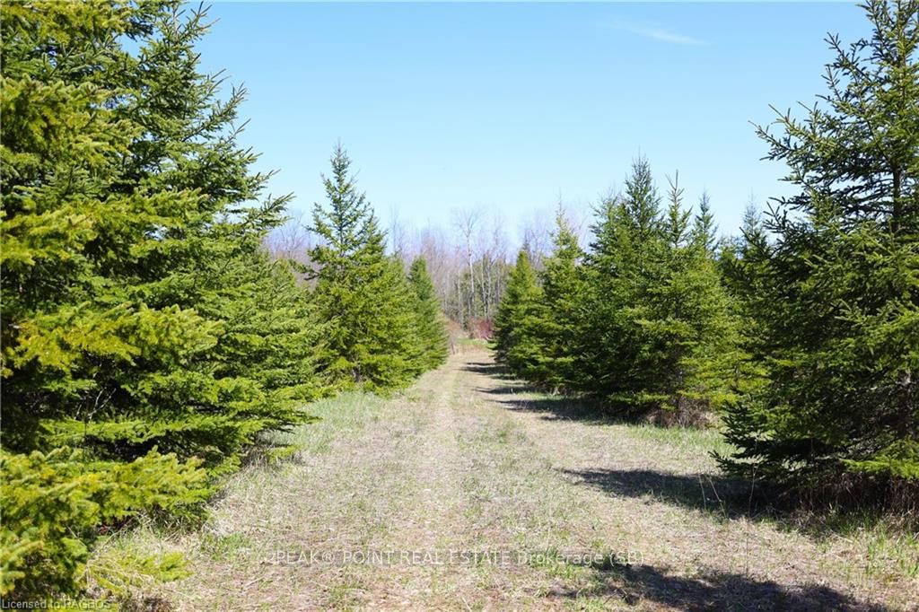 341029 Concession 14 N/a Property Photo 17