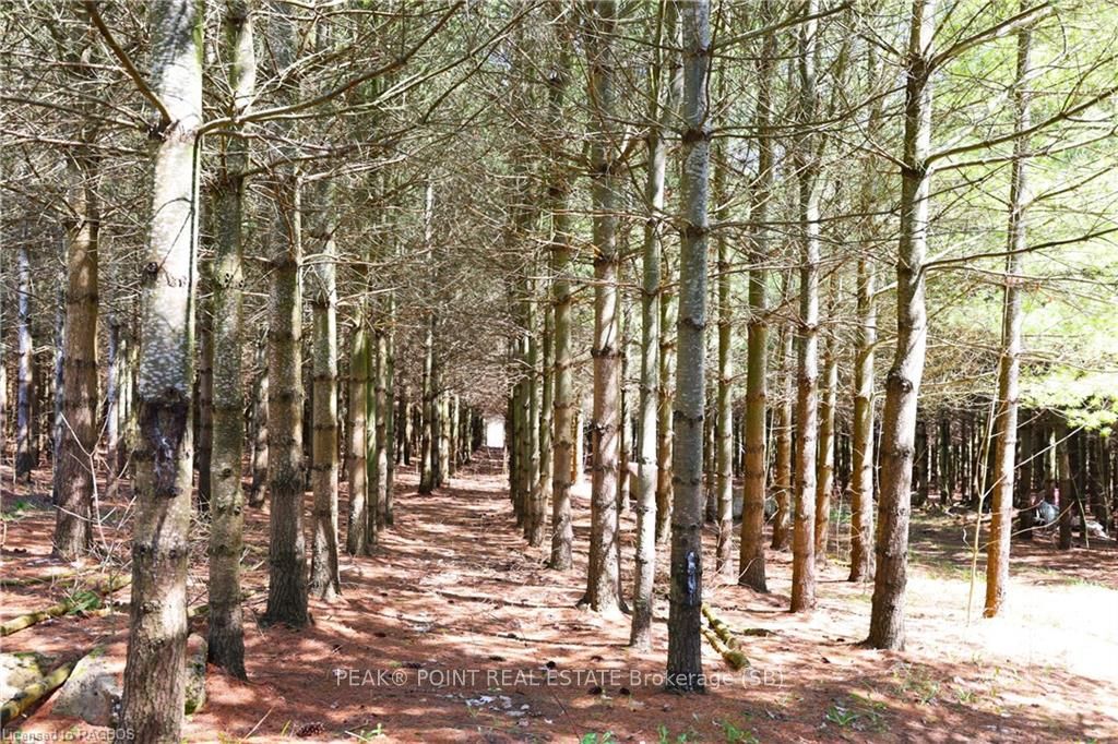 341029 Concession 14 N/a Property Photo 23