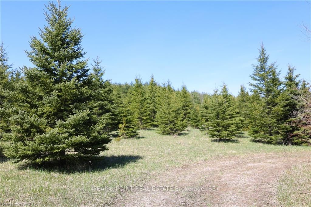341029 Concession 14 N/a Property Photo 25