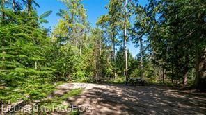 6313 6 Property Photo 38