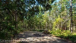 6313 6 Property Photo 41
