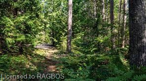 6313 6 Property Photo 43