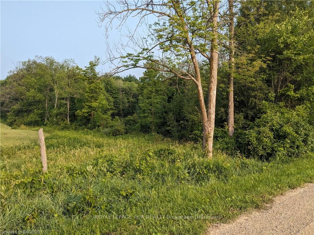 59 3rd Property Photo 2