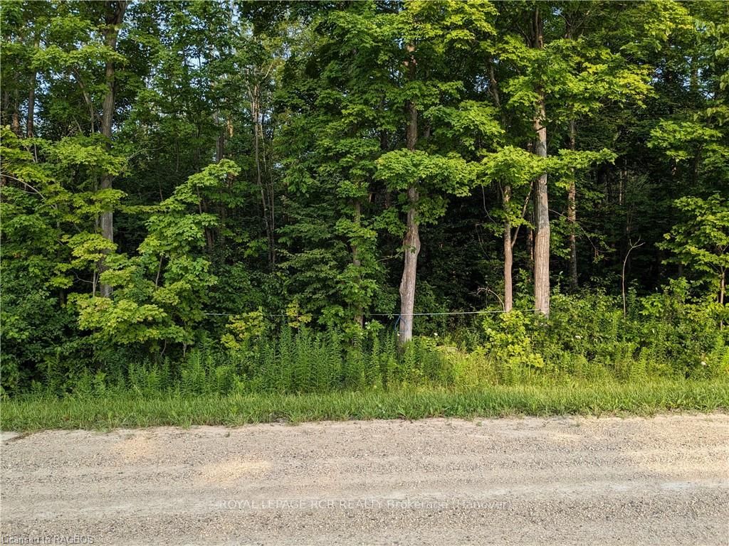 59 3rd Property Photo 3