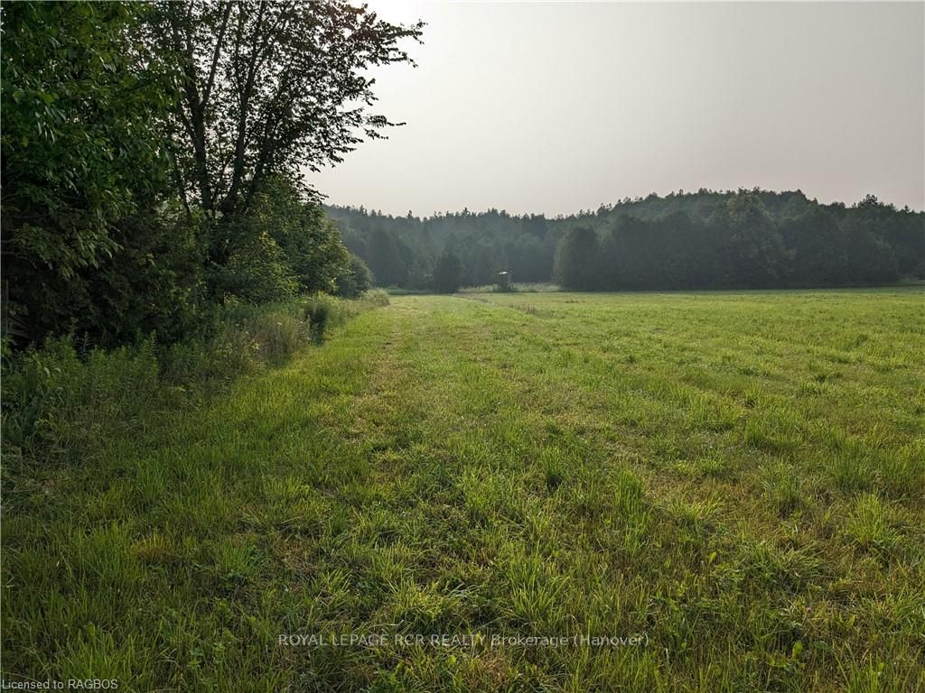 59 3rd Property Photo 13