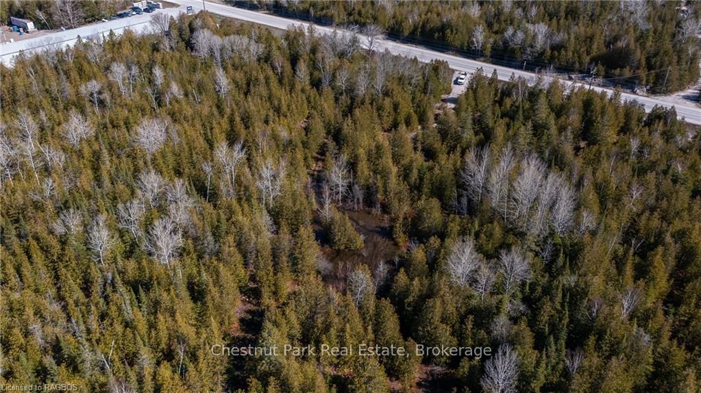 4693 Highway 6 Property Photo 9