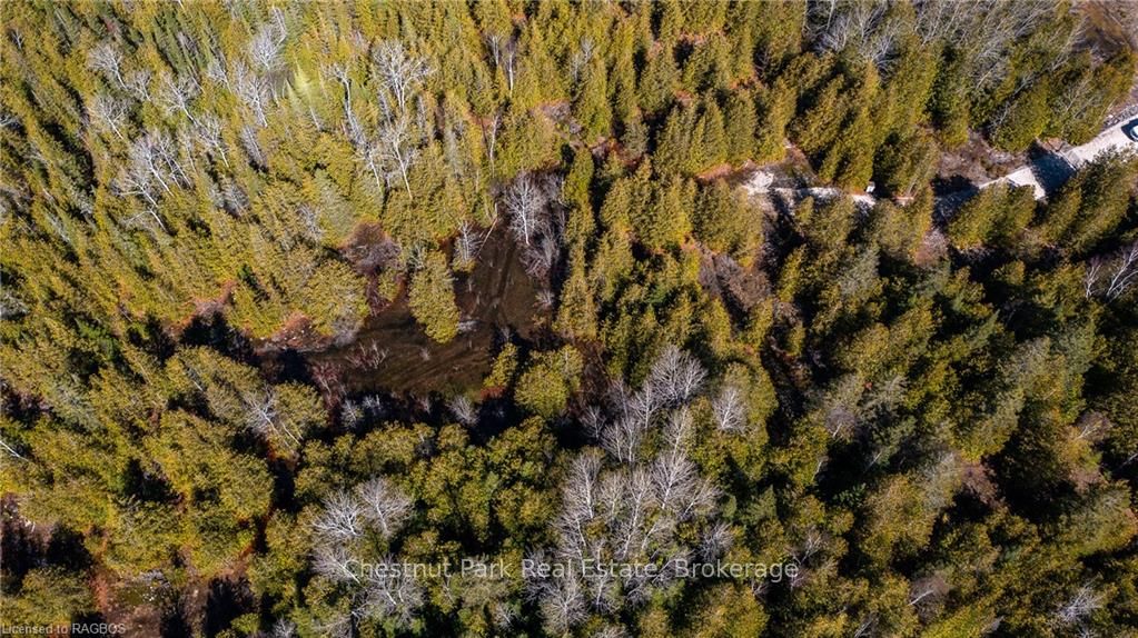 4693 Highway 6 Property Photo 10