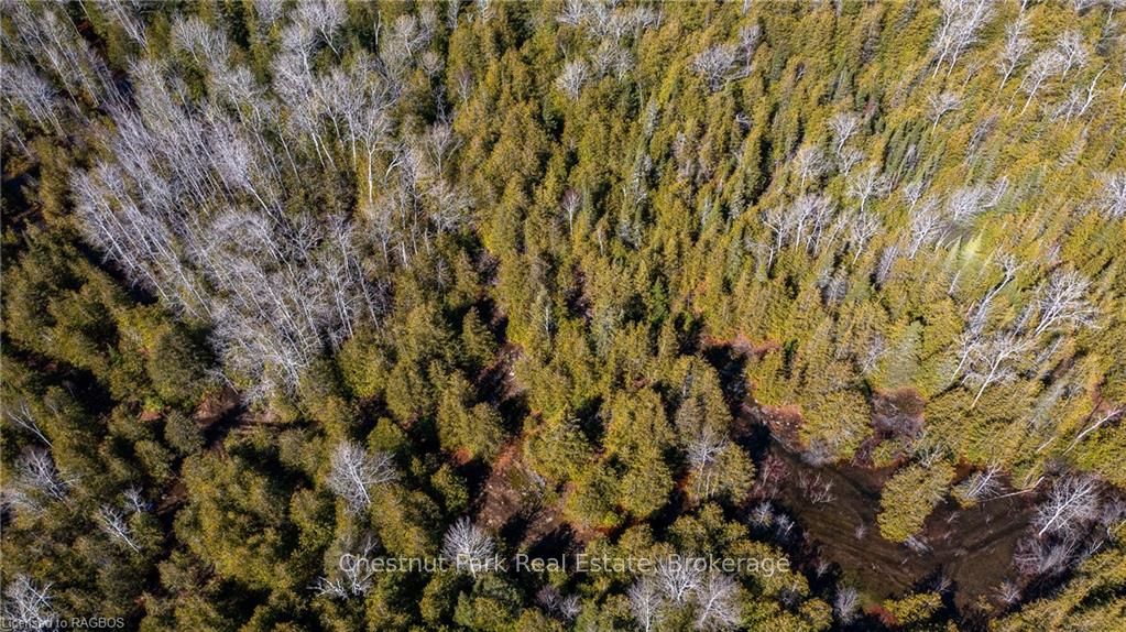 4693 Highway 6 Property Photo 11