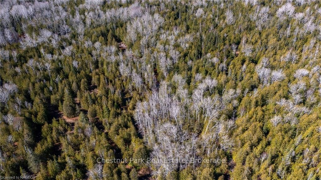 4693 Highway 6 Property Photo 12
