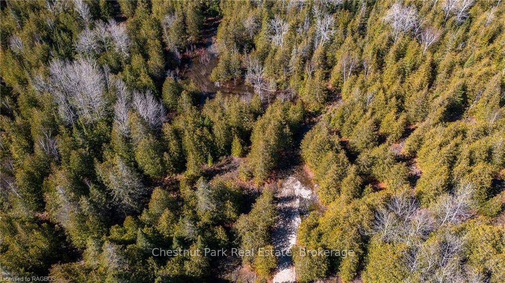 4693 Highway 6 Property Photo 14
