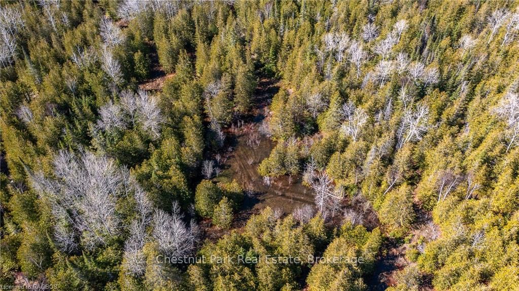 4693 Highway 6 Property Photo 15