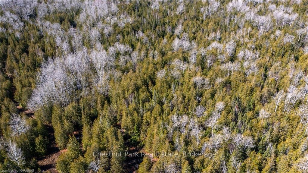 4693 Highway 6 Property Photo 16