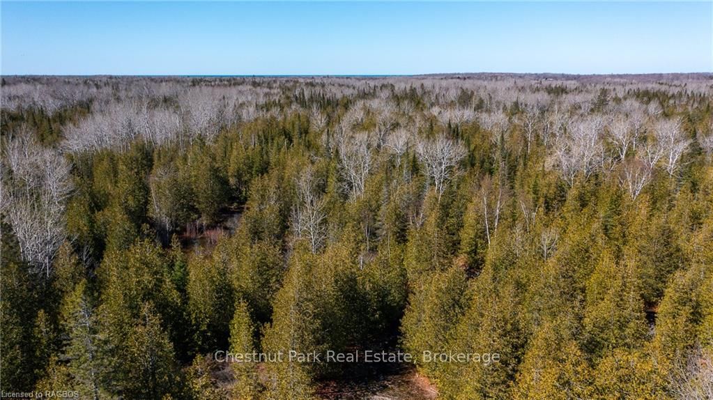 4693 Highway 6 Property Photo 17