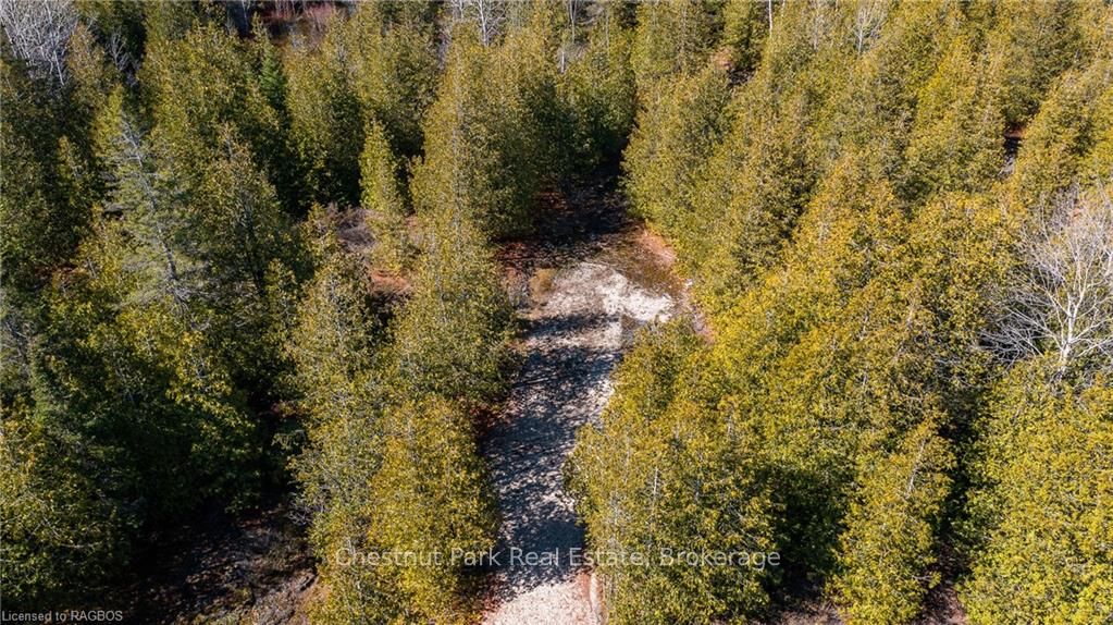 4693 Highway 6 Property Photo 18