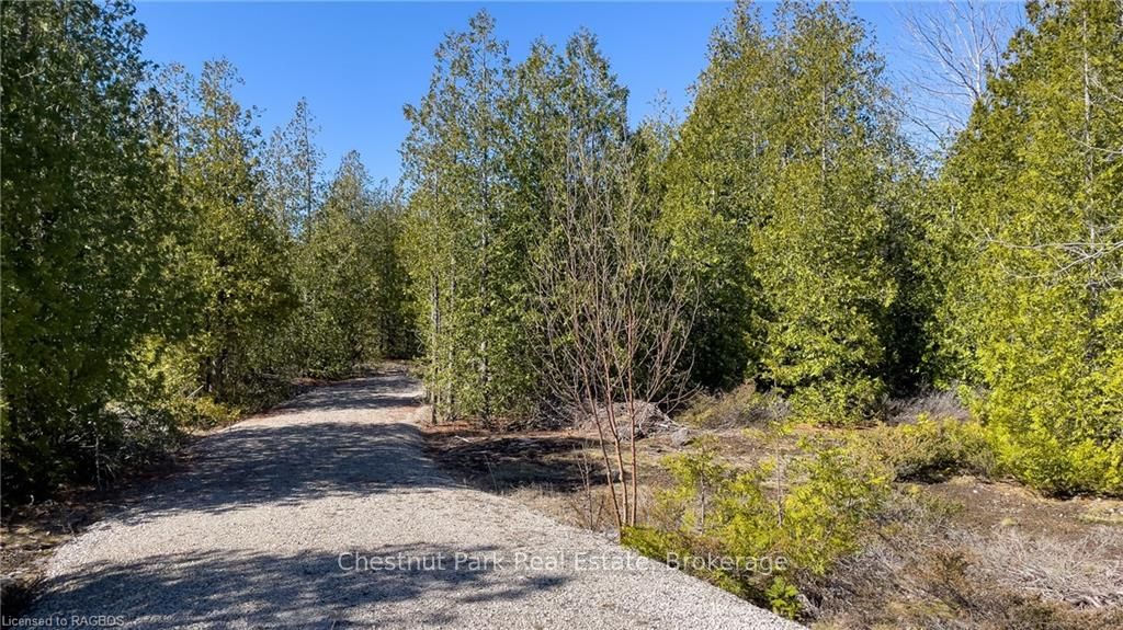 4693 Highway 6 Property Photo 22