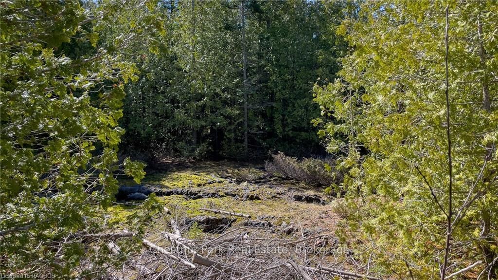 4693 Highway 6 Property Photo 23