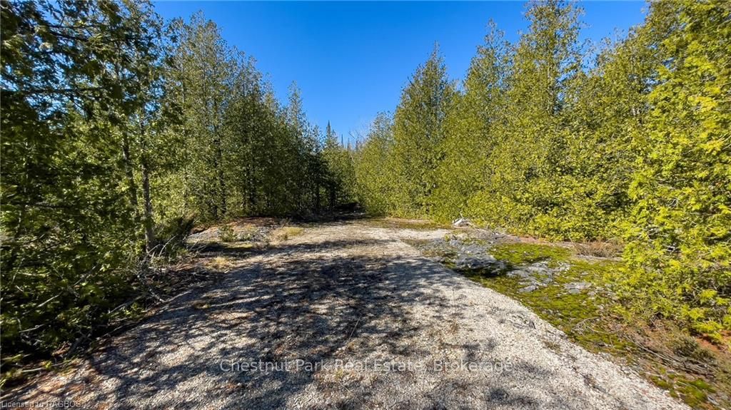 4693 Highway 6 Property Photo 24