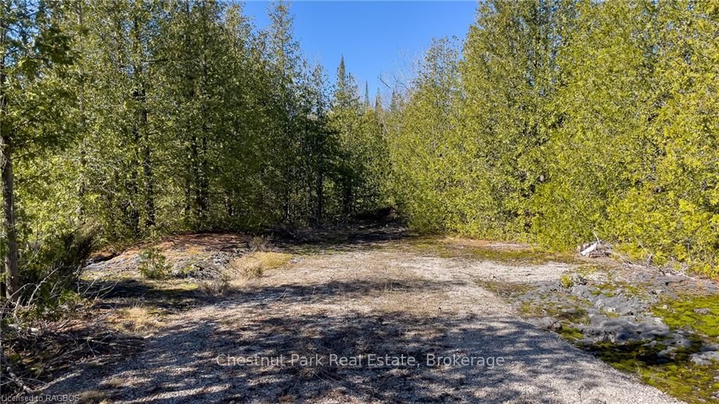 4693 Highway 6 Property Photo 25