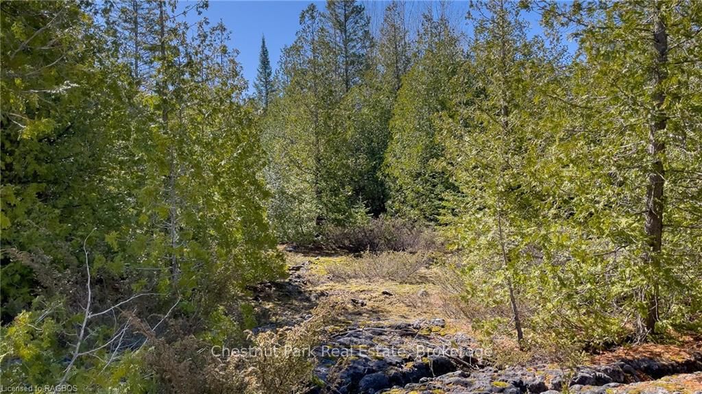 4693 Highway 6 Property Photo 26