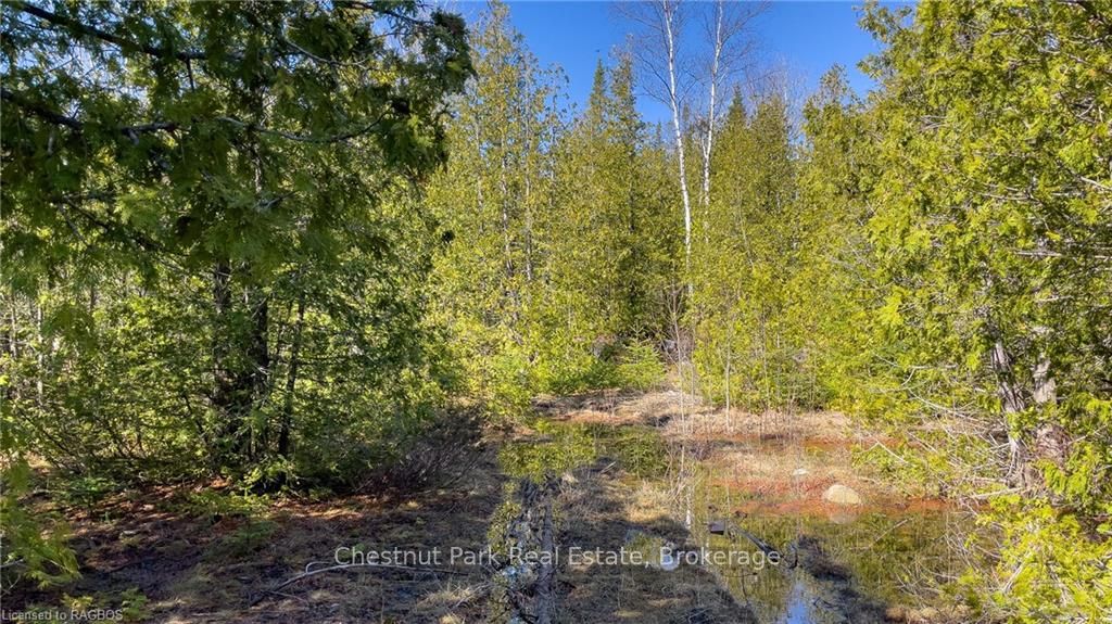 4693 Highway 6 Property Photo 27