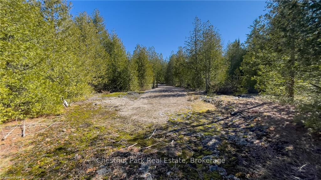 4693 Highway 6 Property Photo 28