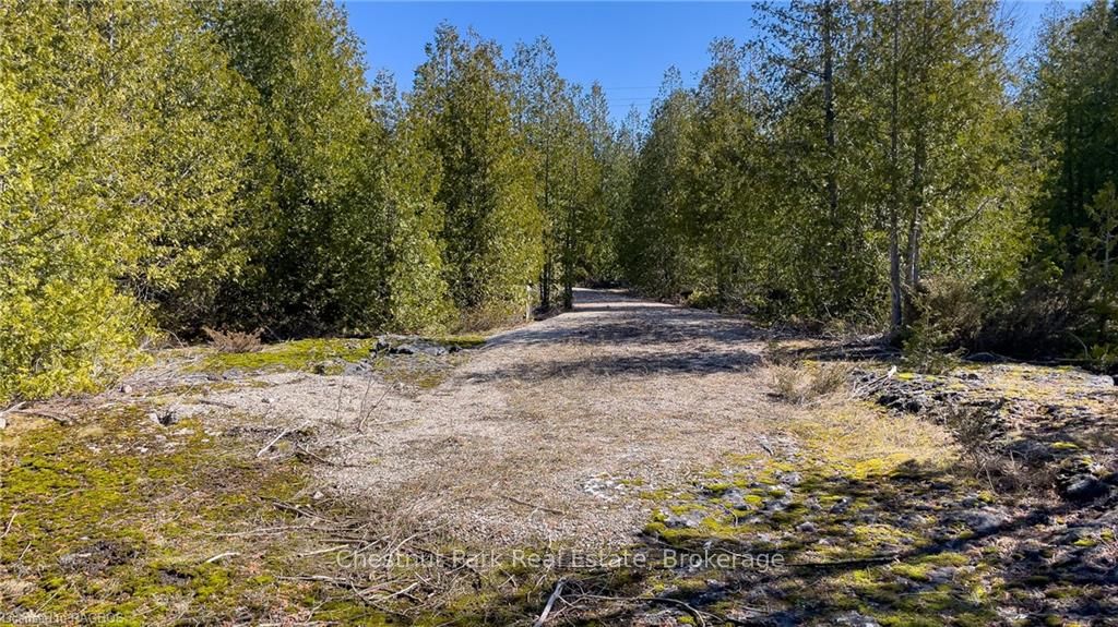 4693 Highway 6 Property Photo 29