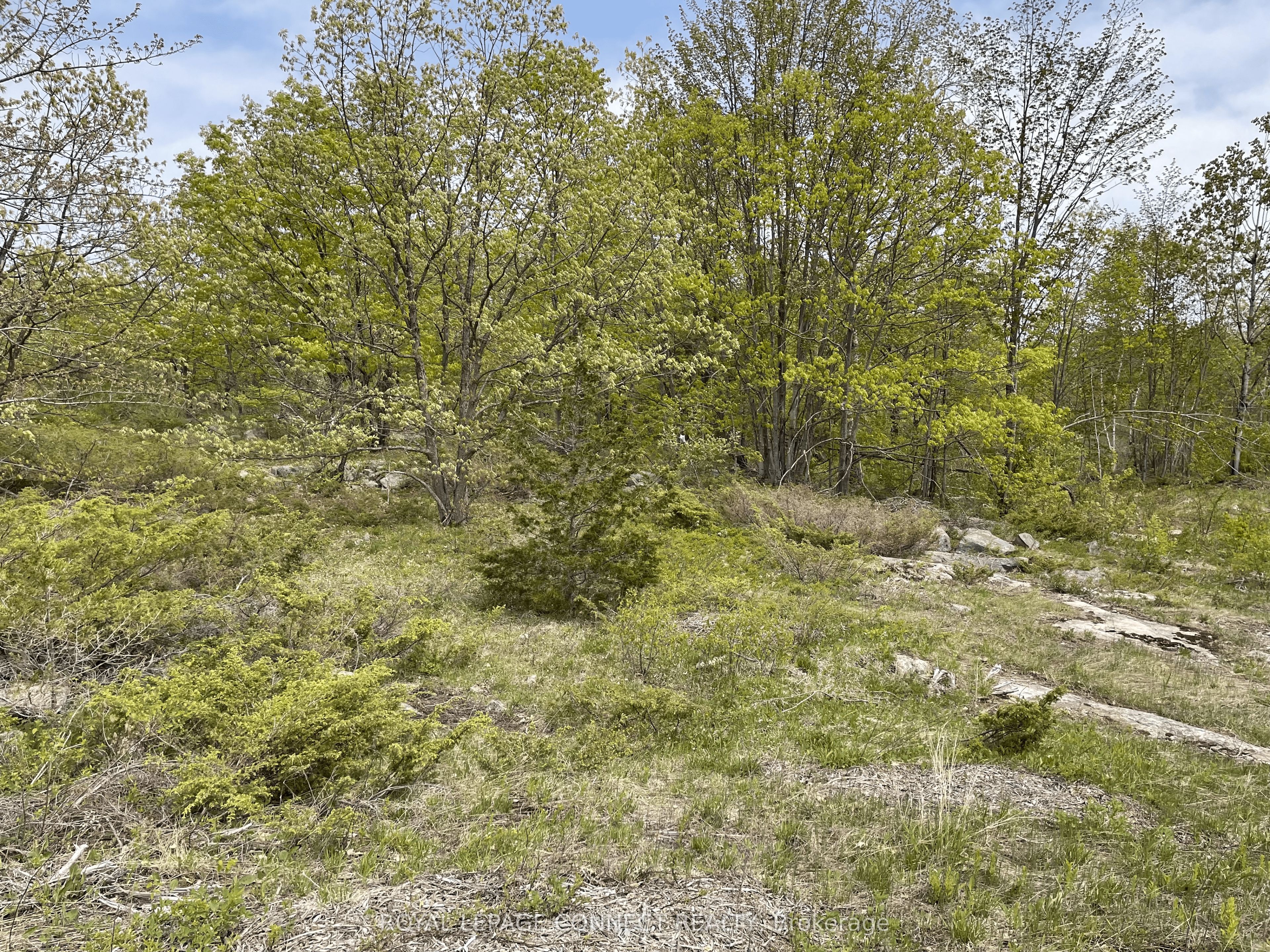 Pt Lt 12 Con 7 Kaladar Property Photo 1