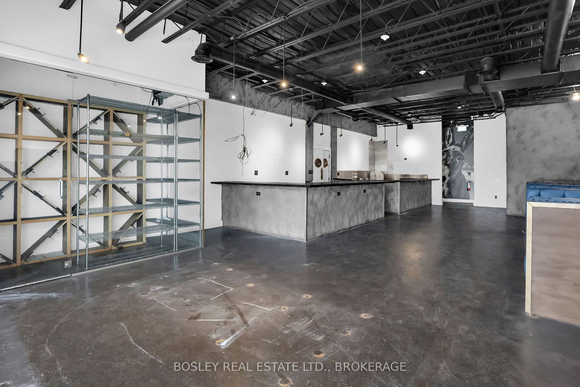 #5 - 242 Mary Street Property Photo 4