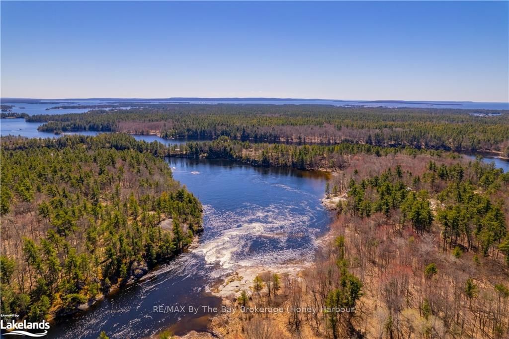 22428 Georgian Bay Shore Property Photo 35