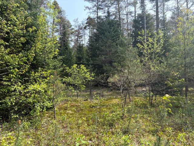 147 So Ho Mish Road Property Photo 3