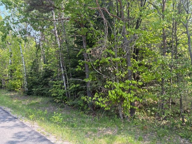 147 So Ho Mish Road Property Photo 5
