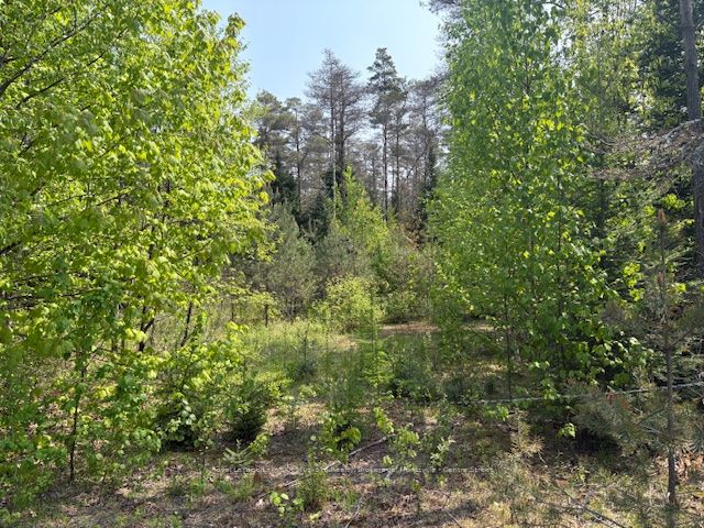 147 So Ho Mish Road Property Photo 7