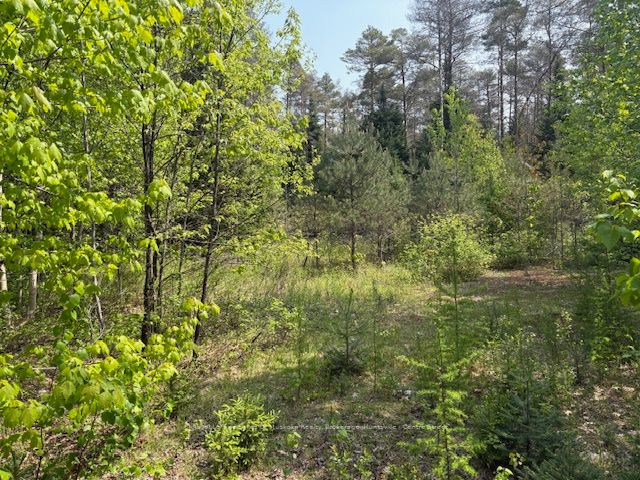 147 So Ho Mish Road Property Photo 9