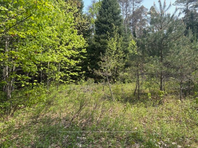 147 So Ho Mish Road Property Photo 10