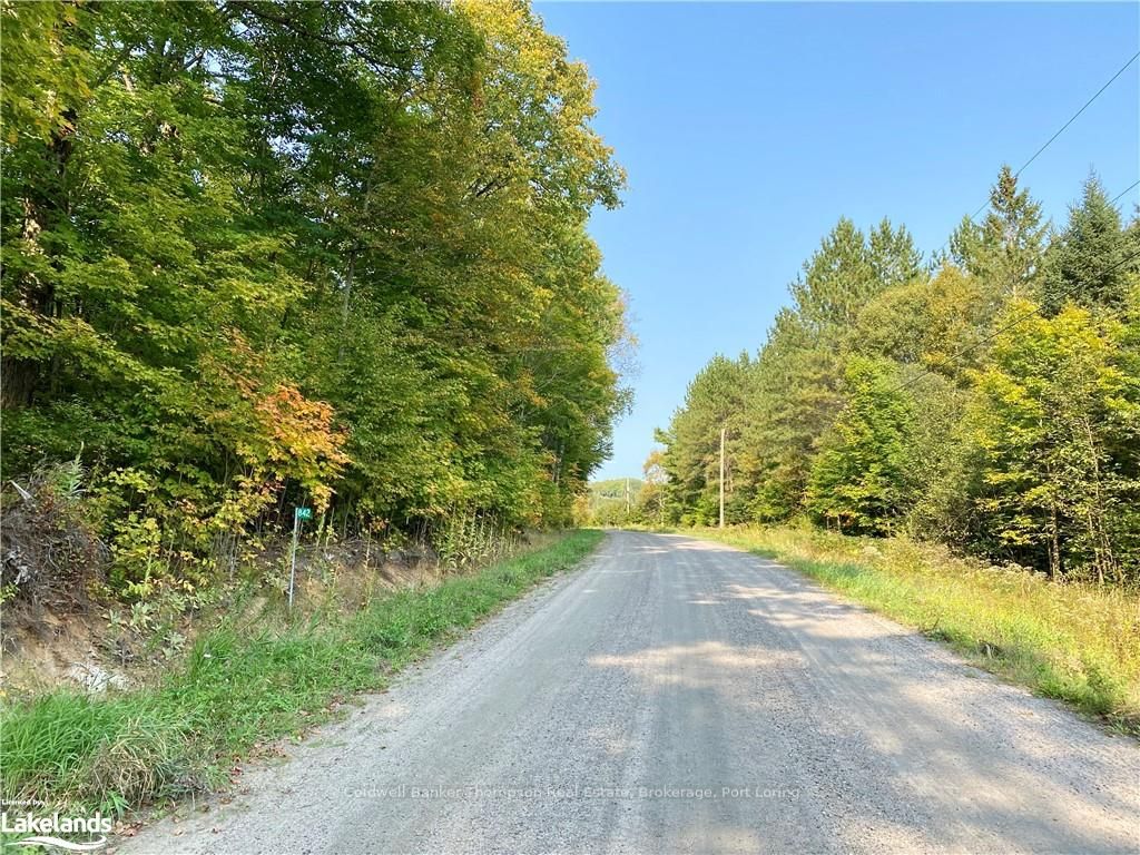 842 Seagull Lake Road Property Photo