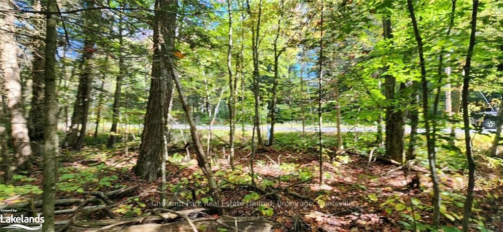 0 Skyline Drive Property Photo