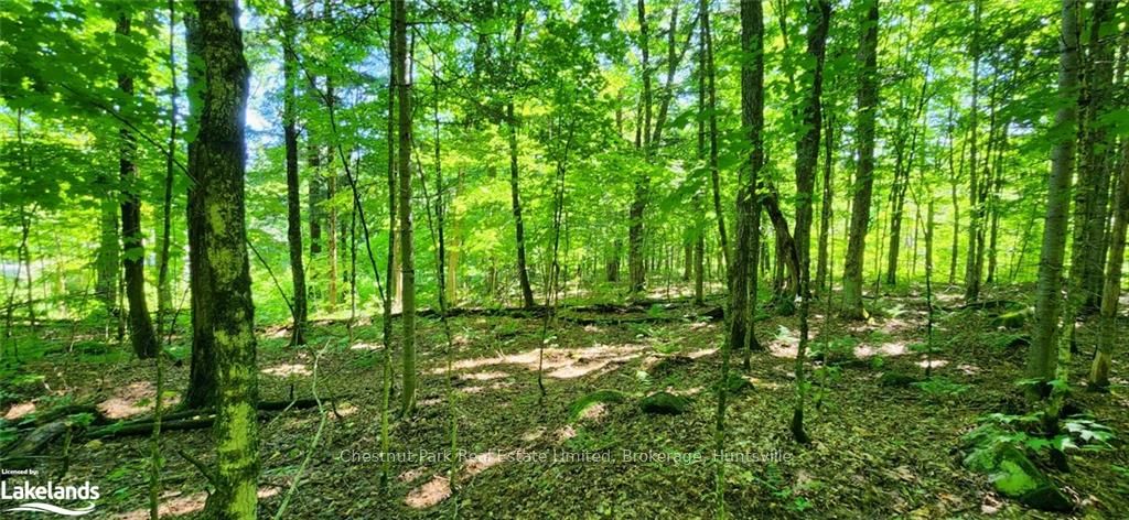 0 Skyline Drive Property Photo 9