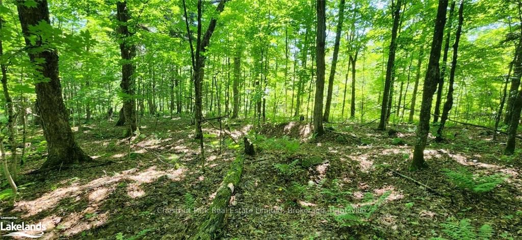 0 Skyline Drive Property Photo 10