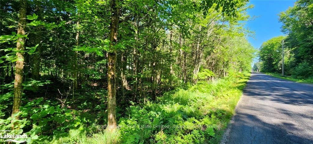 0 Skyline Drive Property Photo 11