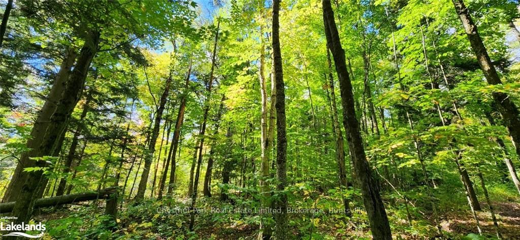 0 Skyline Drive Property Photo 12