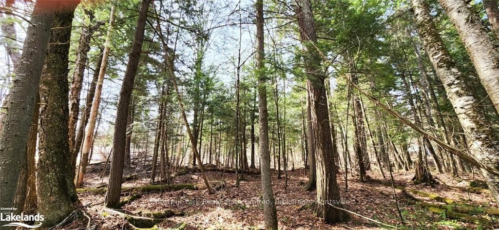 0 Skyline Drive Property Photo 13