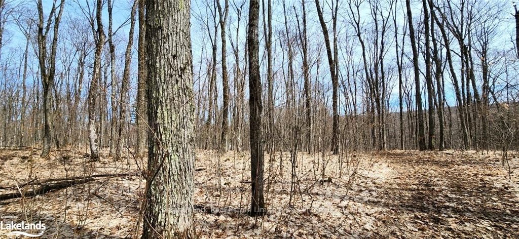 0 Skyline Drive Property Photo 14