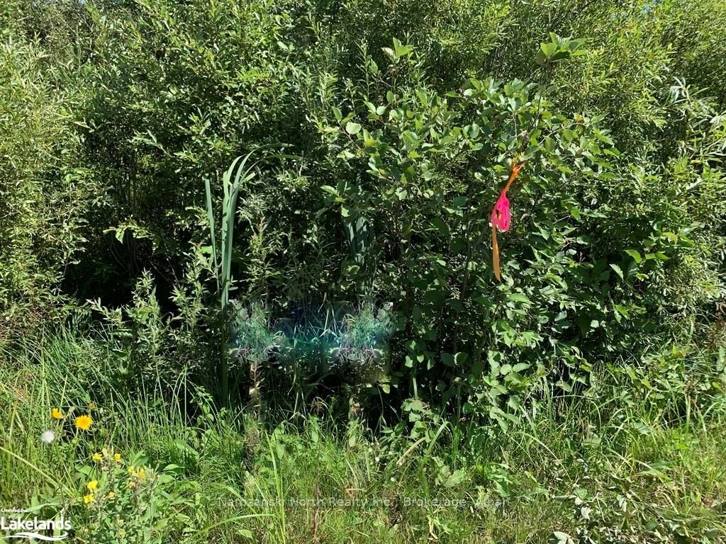Part 1 Montee Brazeau Road Property Photo 3
